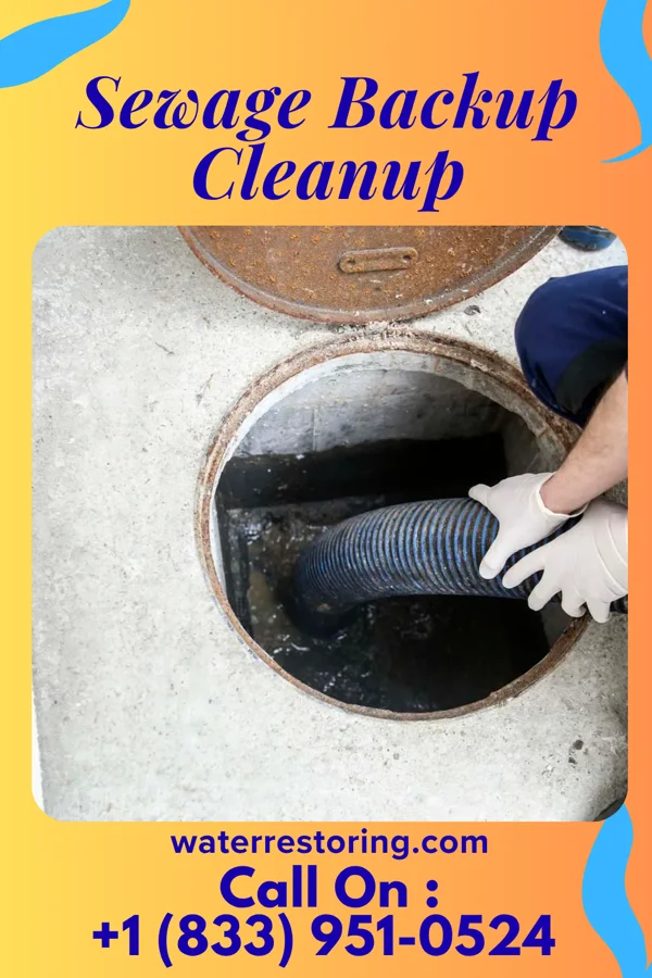 Sewage Backup Cleanup in Verona, MS