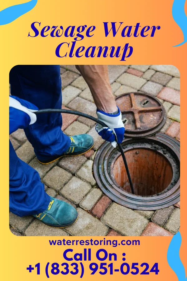 Sewage Water Cleanup in Verona, MS